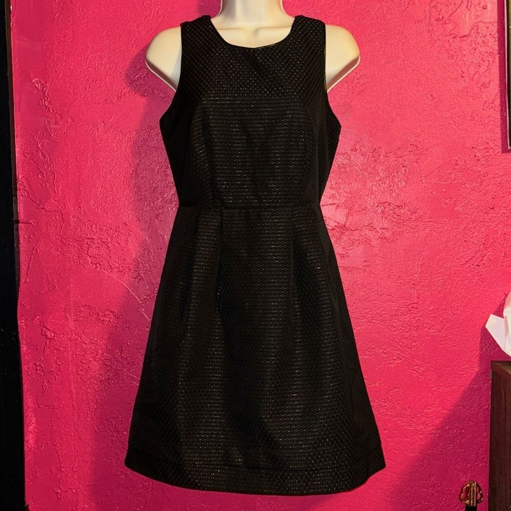 Madewell lowlight fit and flare sparkling gold and black party dress. Size 2.